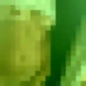 Profil de Ambre à Andrézieux-Bouthéon (31 ans) - rencontre adulte gratuit