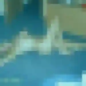 Découvre Lisa, 33 ans à Aulnoy-lez-Valenciennes en privé