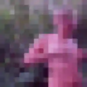 Photo perso de Rym, 38 ans à Auray - rencontre coquine