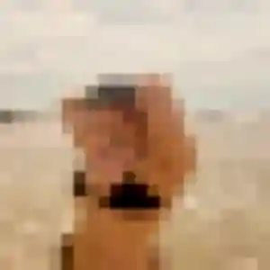Jolie Honorine, 22 ans à Berck - la contacter