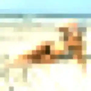 Photo exclusive de Aisha, 37 ans à Bompas - plan discret