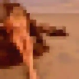 Photo de Flore à Chassieu (45 ans) - rencontre adulte gratuit