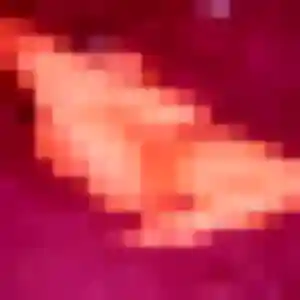Christine, 34 ans, connectée à Clichy pour une rencontre coquine