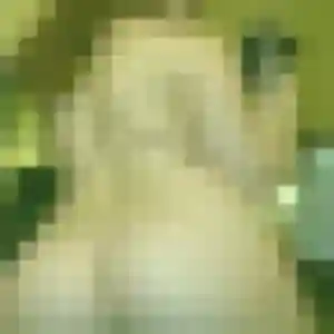 Madeleine, fille de 24 ans cherche rencontre adulte à Crozon
