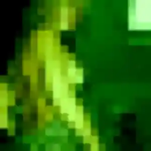 Photo privée de Idalina, 44 ans à Dives-sur-Mer - plan discret