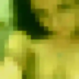 Photo perso de Paloma, 38 ans à Élancourt - rencontre coquine