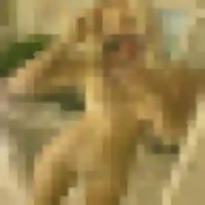 Photo sexy de Tessa, 25 ans à Étaples - rencontre coquine