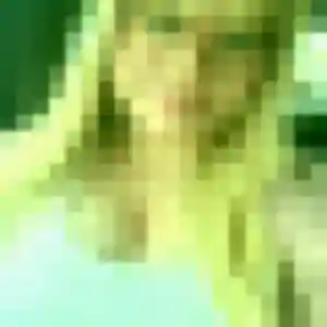 Photo exclusive de Katia, 21 ans à Gévezé - plan discret