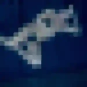 Profil de Paloma à Gif-sur-Yvette (24 ans) - rencontre adulte anonyme