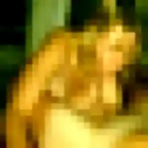 Sylvie, 36 ans, connectée à Gond-Pontouvre pour une rencontre coquine
