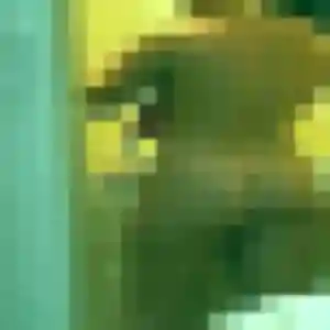 Photo de Colombine à Grenay (21 ans) - rencontre adulte gratuit