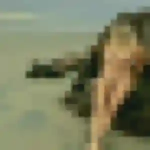 Photo exclusive de Phoebe, 20 ans à Gros-Morne - plan discret