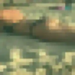 Alessandra, fille de 31 ans propose rencontre adulte à Guer