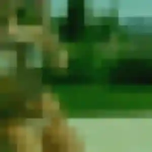 Belle Faustine, 44 ans à Hœnheim - la contacter