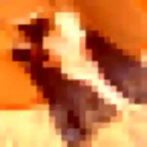 Sexy Tania, 35 ans à Hœnheim - découvrir son profil