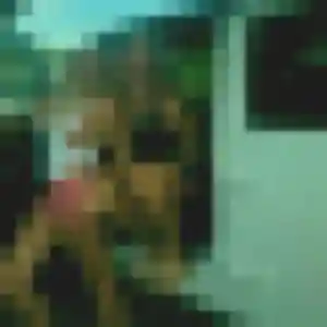 Photo exclusive de Angelique, 42 ans à Houdain - plan discret