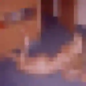Sexy Amandine, 43 ans à Issy-les-Moulineaux - voir sa photo