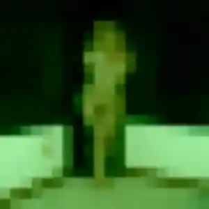 Contacte Severine, 25 ans à La Fare-les-Oliviers gratuitement