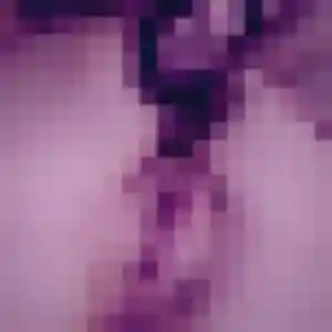 Photo de Alessandra à Labenne (19 ans) - rencontre adulte anonyme