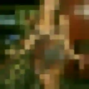 Photo perso de Laura, 40 ans à Laudun-l'Ardoise - rencontre coquine