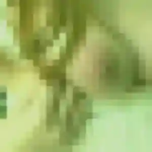 Azalee, 30 ans, cherche un rencontre adulte à Le Blanc