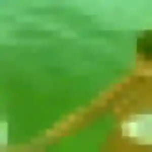 Photo exclusive de Xaviere, 35 ans à Le Moule - rencontre sans lendemain