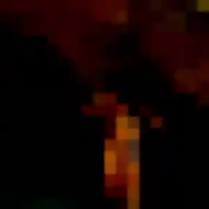 Charlotte, 42 ans, cherche un rencontre adulte à Le Plessis-Trévise