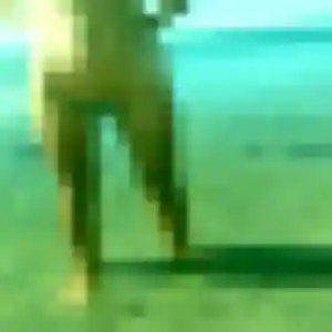 Apolline (40 ans) à Limeil-Brévannes attend un rencontre adulte ce soir