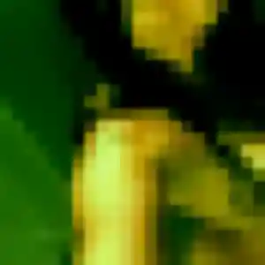 Photo exclusive de Meriem, 45 ans à Metz - rencontre sans lendemain