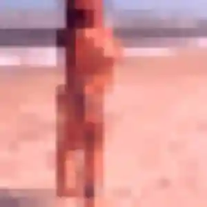Sexy Janine, 34 ans à Ollainville - découvrir son profil