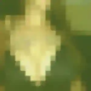 Profil de Nathalie à Papaichton (45 ans) - rencontre adulte gratuit
