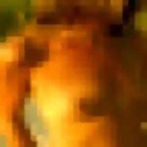 Photo privée de Rania, 29 ans à Paray-Vieille-Poste - plan discret
