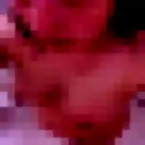 Photo de Caroline à Plonéour-Lanvern (33 ans) - rencontre adulte sans inscription