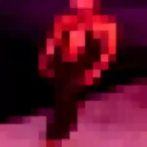 Photo privée de Lamia, 29 ans à Prades - rencontre coquine