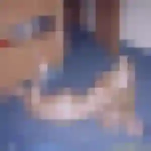 Delia, 40 ans, en ligne à Prades-le-Lez pour un rencontre adulte