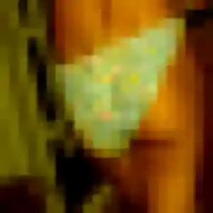 Ines, 33 ans, connectée à Romagnat pour un rencontre adulte