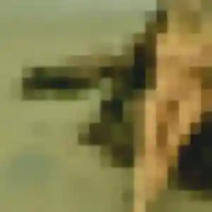Alix, femme de 20 ans propose rencontre adulte à Roubaix