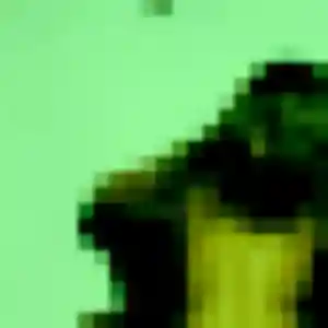 Daphne, 45 ans, connectée à Sainghin-en-Weppes pour une rencontre coquine