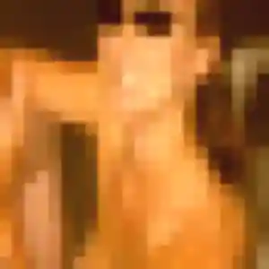 rencontre adulte à Saint-Gratien : photo de Soraya, 19 ans - accès libre