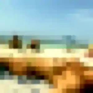 Photo de Patricia à Saint-Martin-lez-Tatinghem (36 ans) - rencontre adulte discret