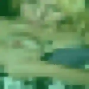 Malika, femme de 45 ans cherche rencontre adulte à Saint-Michel-sur-Orge