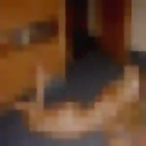 Ursula, 43 ans, en ligne à Saint-Priest-en-Jarez pour une rencontre coquine