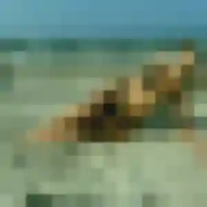 Photo sexy de Rania, 32 ans à Sainte-Maxime - rencontre sans lendemain