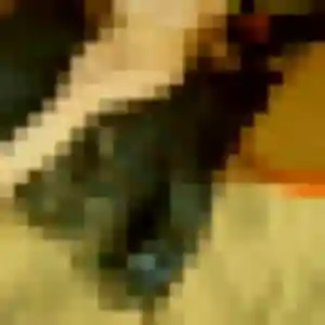 Photo de Paloma à Sausset-les-Pins (33 ans) - rencontre adulte discret