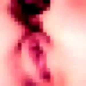 Elena, 28 ans, en ligne à Téteghem-Coudekerque-Village pour un rencontre adulte