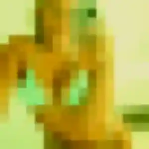 Photo privée de Prisca, 45 ans à Tonneins - rencontre coquine