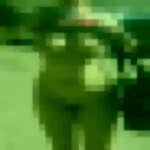 Joana, 32 ans, dispo pour rencontre adulte à Vétraz-Monthoux