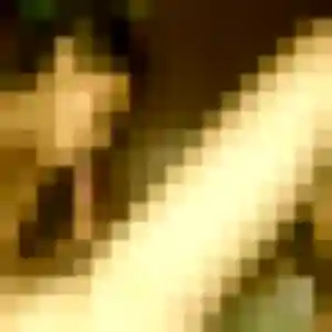 Photo privée de Rachida, 38 ans à Vieux-Habitants - rencontre coquine