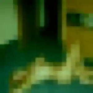 Photo exclusive de Lou-Anne, 31 ans à Villemur-sur-Tarn - rencontre coquine