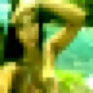Photo exclusive de Helene, 41 ans à Villeneuve-d'Ascq - rencontre coquine